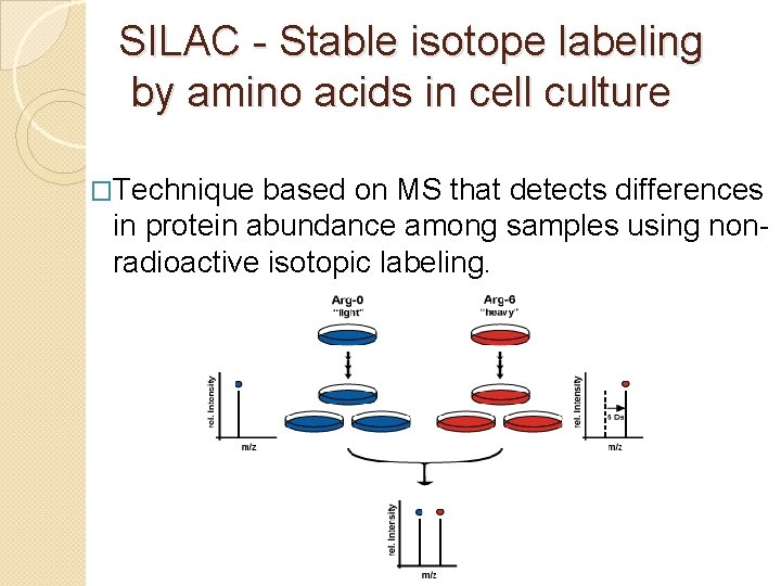 SILAC - Stable isotope labeling by amino acids in cell culture �Technique based on