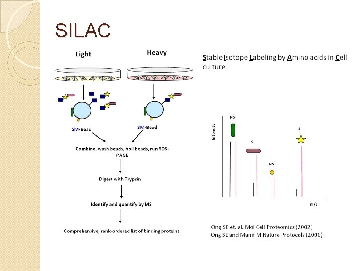 SILAC 