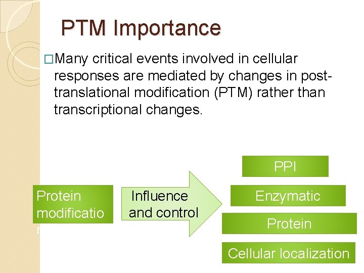 PTM Importance �Many critical events involved in cellular responses are mediated by changes in