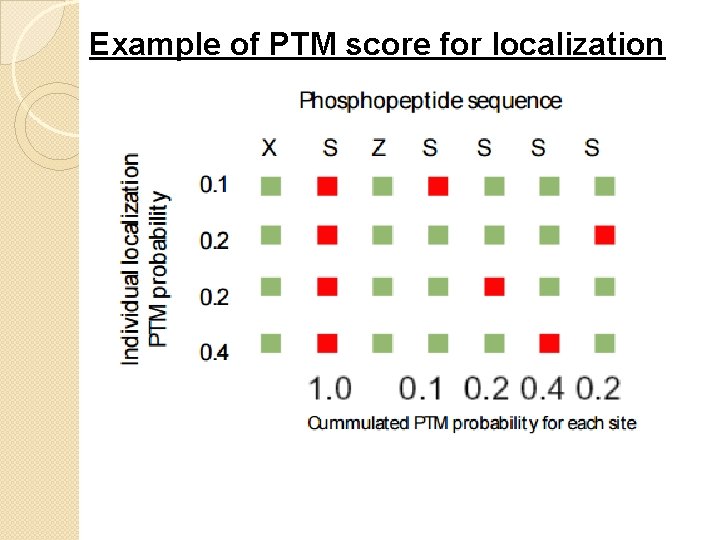 Example of PTM score for localization 