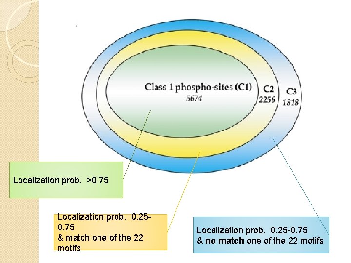 Localization prob. >0. 75 Localization prob. 0. 250. 75 & match one of the