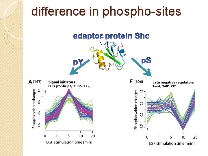 difference in phospho-sites 