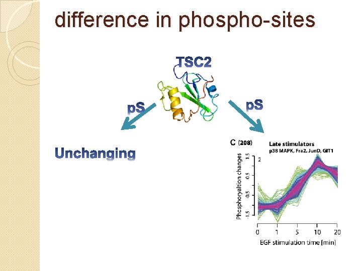 difference in phospho-sites 