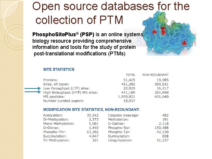 Open source databases for the collection of PTM Phospho. Site. Plus® (PSP) is an