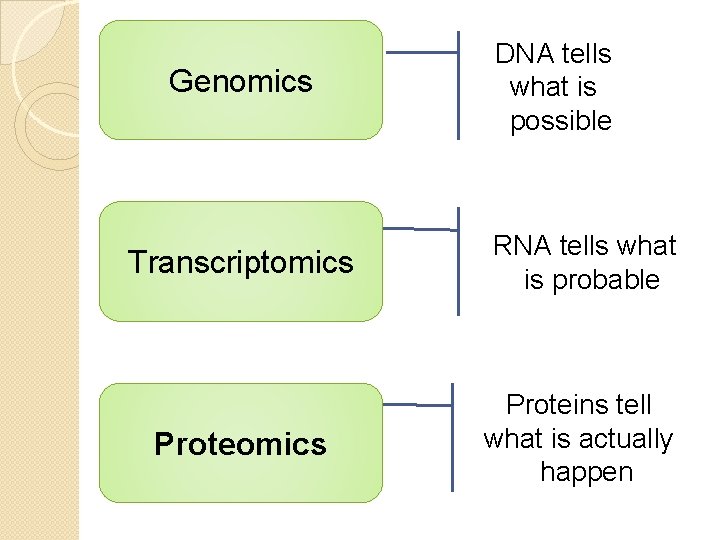 Genomics DNA tells what is possible Transcriptomics RNA tells what is probable Proteomics Proteins