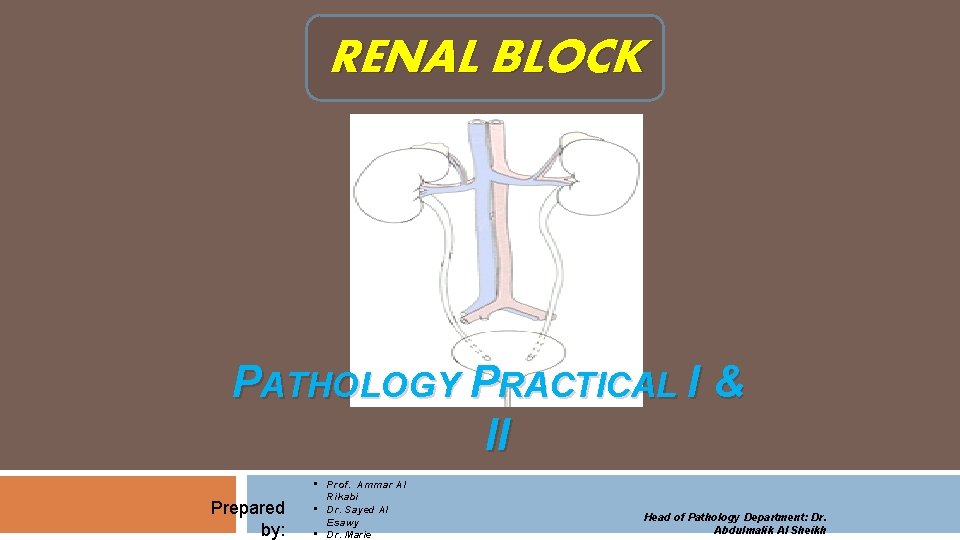 RENAL BLOCK PATHOLOGY PRACTICAL I & II Prepared by: • Prof. Ammar Al Rikabi