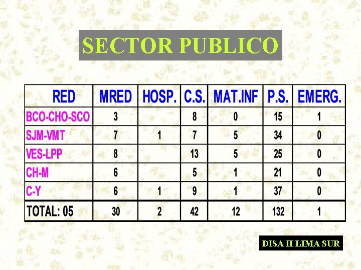 SECTOR PUBLICO DISA II LIMA SUR 