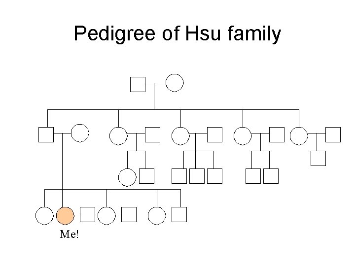 Chapter 11 14 Human Genetics And Meiosis The