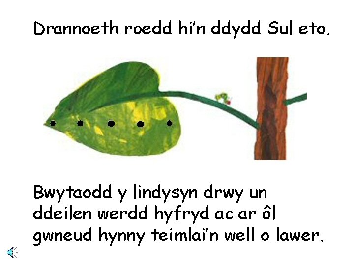 Drannoeth roedd hi’n ddydd Sul eto. Bwytaodd y lindysyn drwy un ddeilen werdd hyfryd