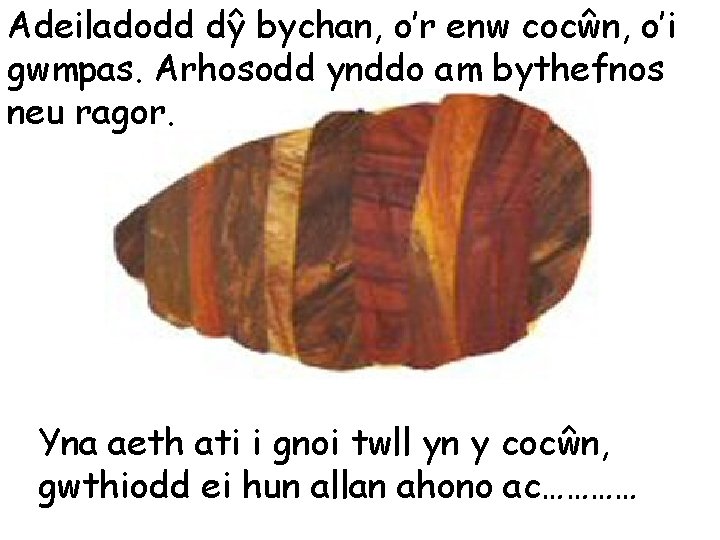 Adeiladodd dŷ bychan, o’r enw cocŵn, o’i gwmpas. Arhosodd ynddo am bythefnos neu ragor.