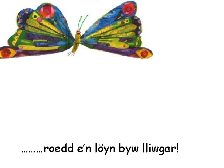 ………roedd e’n löyn byw lliwgar! 