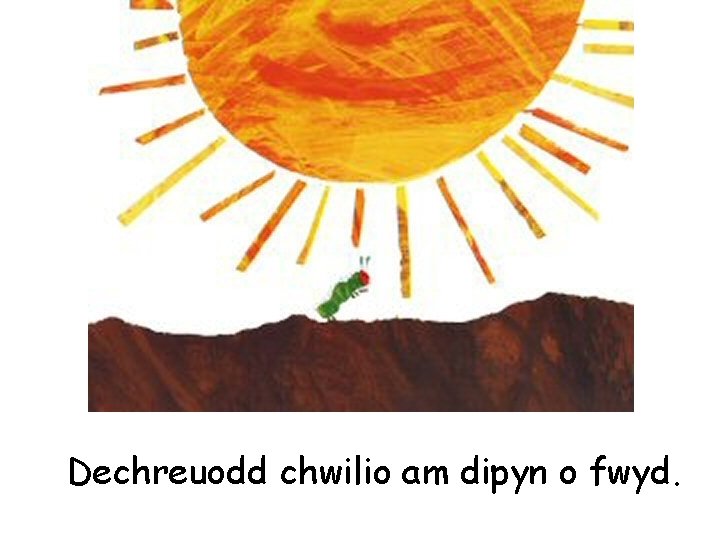 Dechreuodd chwilio am dipyn o fwyd. 