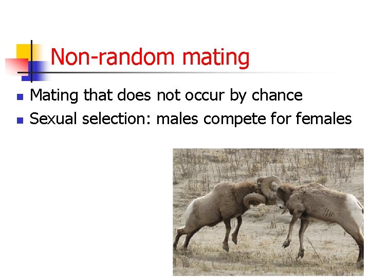 Non-random mating n n Mating that does not occur by chance Sexual selection: males