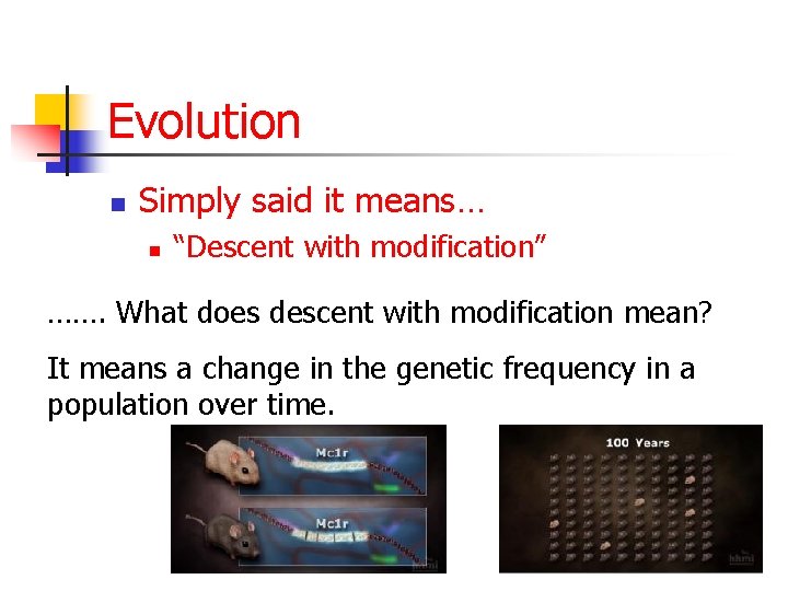 Evolution n Simply said it means… n “Descent with modification” ……. What does descent