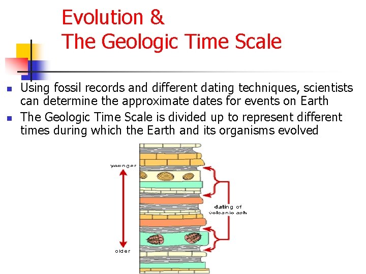 Evolution & The Geologic Time Scale n n Using fossil records and different dating