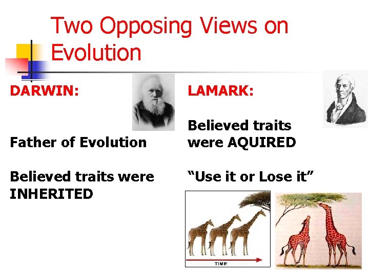 Two Opposing Views on Evolution DARWIN: LAMARK: Father of Evolution Believed traits were AQUIRED