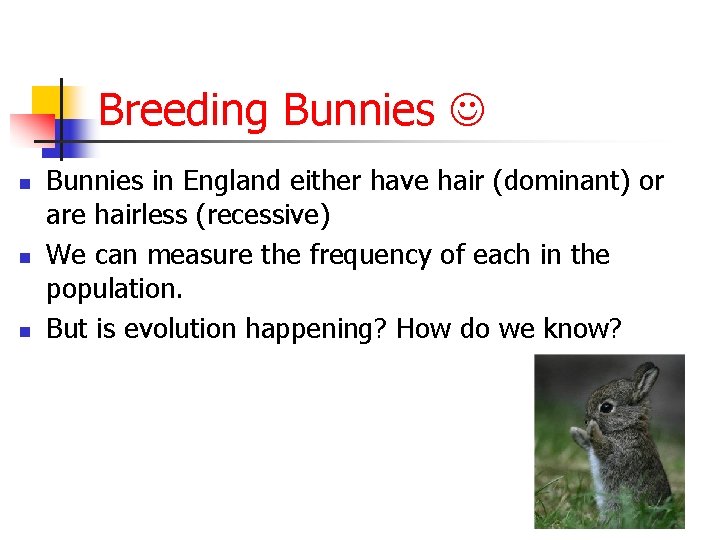Breeding Bunnies n n n Bunnies in England either have hair (dominant) or are
