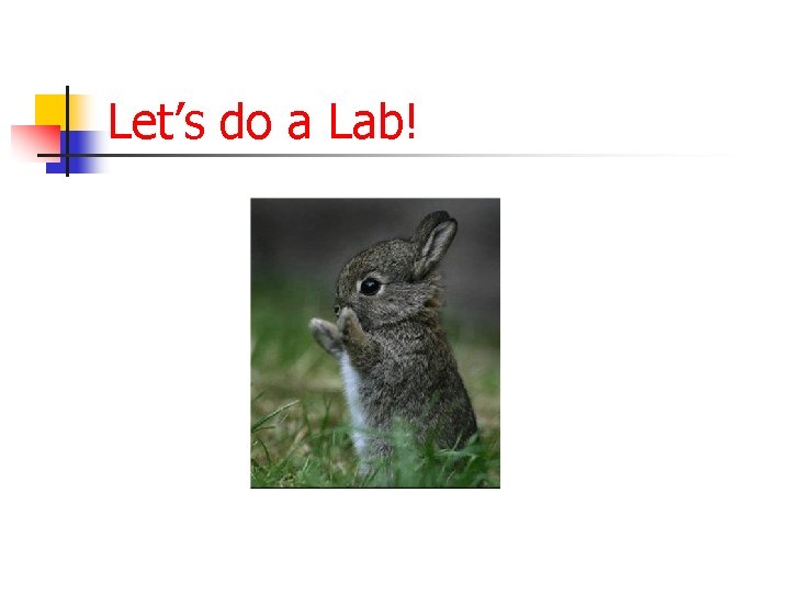 Let’s do a Lab! 