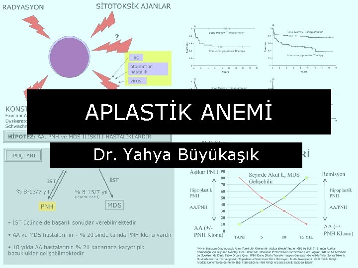APLASTİK ANEMİ Dr. Yahya Büyükaşık 