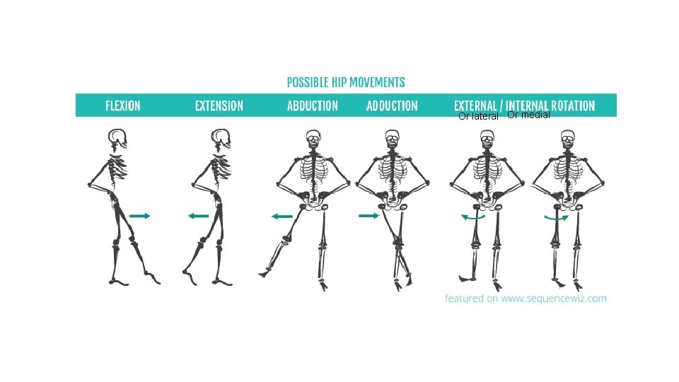 Or lateral Or medial 