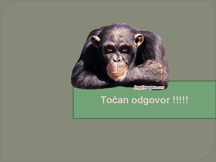 Točan odgovor !!!!! 