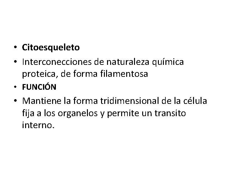  • Citoesqueleto • Interconecciones de naturaleza química proteica, de forma filamentosa • FUNCIÓN