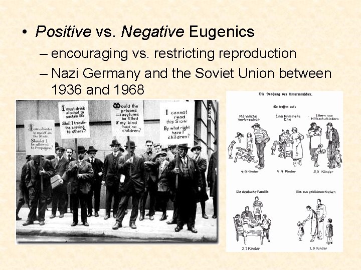 • Positive vs. Negative Eugenics – encouraging vs. restricting reproduction – Nazi Germany