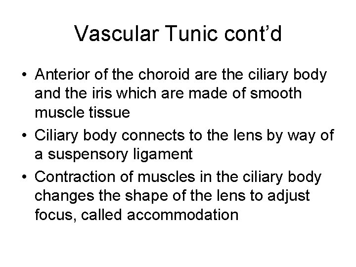 Vascular Tunic cont’d • Anterior of the choroid are the ciliary body and the