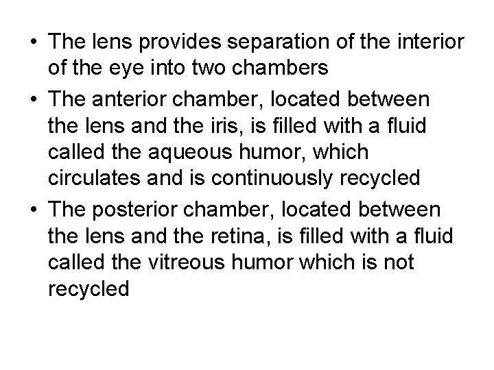  • The lens provides separation of the interior of the eye into two
