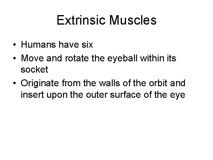 Extrinsic Muscles • Humans have six • Move and rotate the eyeball within its