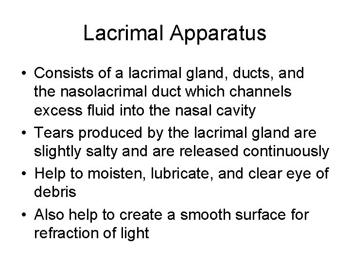 Lacrimal Apparatus • Consists of a lacrimal gland, ducts, and the nasolacrimal duct which