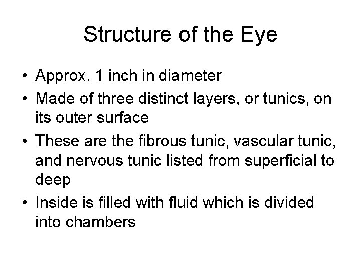Structure of the Eye • Approx. 1 inch in diameter • Made of three