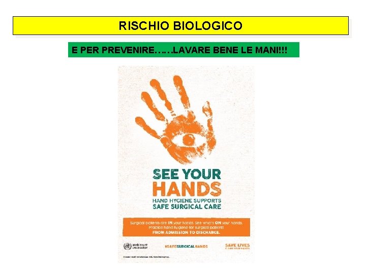 RISCHIO BIOLOGICO E PER PREVENIRE……LAVARE BENE LE MANI!!! 