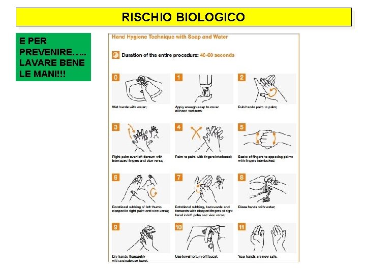 RISCHIO BIOLOGICO E PER PREVENIRE…. . LAVARE BENE LE MANI!!! 
