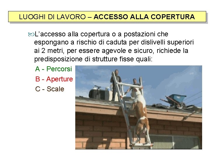 LUOGHI DI LAVORO – ACCESSO ALLA COPERTURA Accesso alla copertura L’accesso alla copertura o