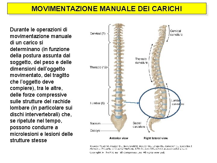 MOVIMENTAZIONE MANUALE DEI CARICHI Durante le operazioni di movimentazione manuale di un carico si