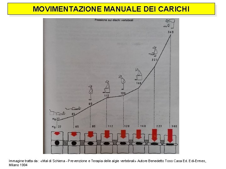 MOVIMENTAZIONE MANUALE DEI CARICHI Immagine tratta da : «Mal di Schiena - Prevenzione e