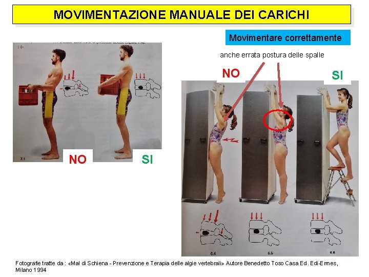 MOVIMENTAZIONE MANUALE DEI CARICHI Movimentare correttamente anche errata postura delle spalle NO NO SI