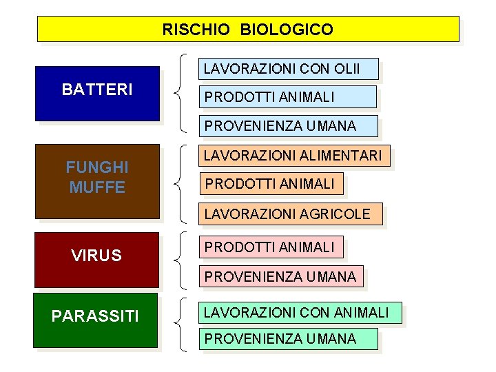 RISCHIO BIOLOGICO LAVORAZIONI CON OLII BATTERI PRODOTTI ANIMALI PROVENIENZA UMANA FUNGHI MUFFE LAVORAZIONI ALIMENTARI