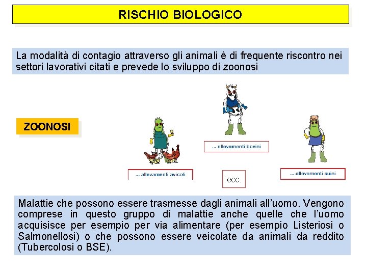 RISCHIO BIOLOGICO La modalità di contagio attraverso gli animali è di frequente riscontro nei