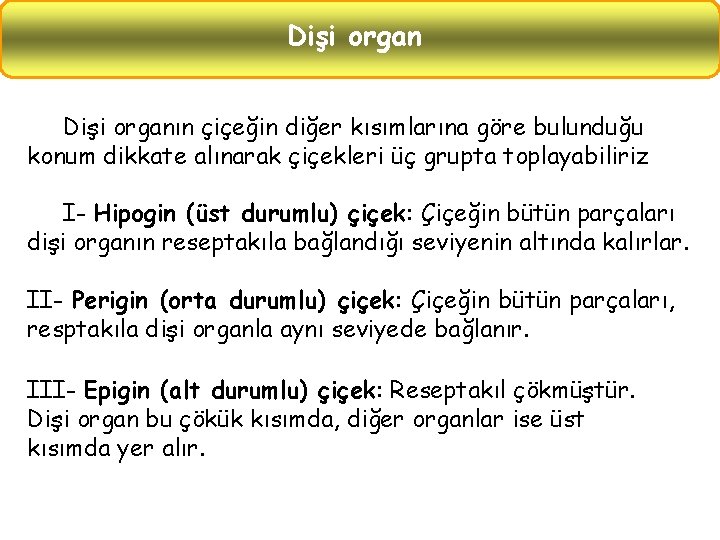 Dişi organın çiçeğin diğer kısımlarına göre bulunduğu konum dikkate alınarak çiçekleri üç grupta toplayabiliriz