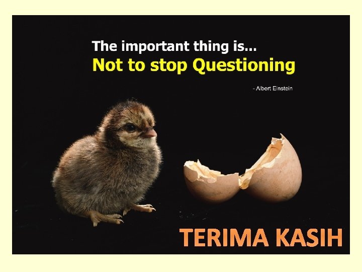 TERIMA KASIH 
