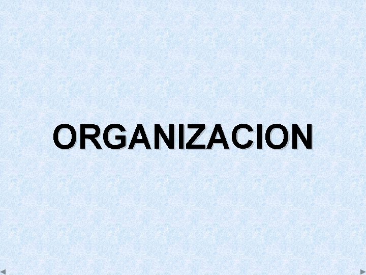 ORGANIZACION 