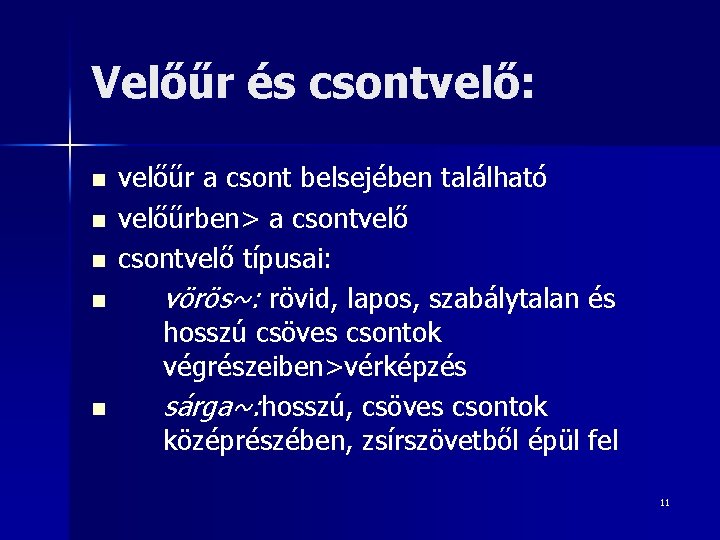 Velőűr és csontvelő: n n n velőűr a csont belsejében található velőűrben> a csontvelő