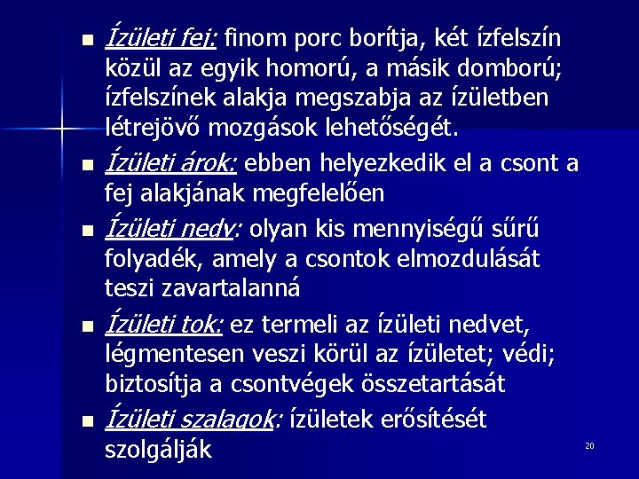 n n n Ízületi fej: finom porc borítja, két ízfelszín közül az egyik homorú,