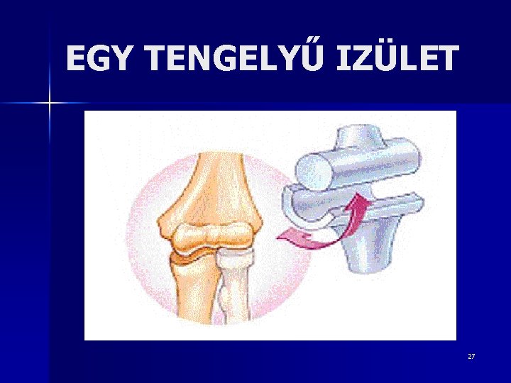 EGY TENGELYŰ IZÜLET 27 