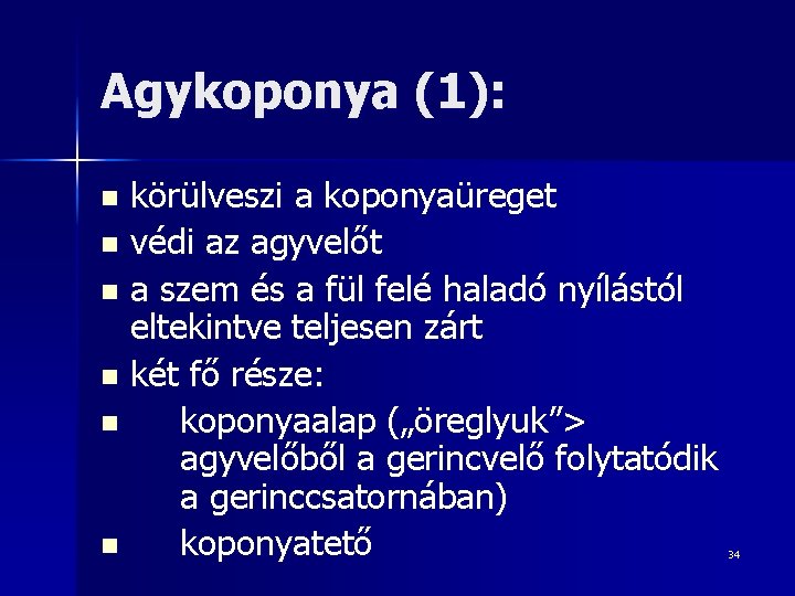 Agykoponya (1): körülveszi a koponyaüreget n védi az agyvelőt n a szem és a