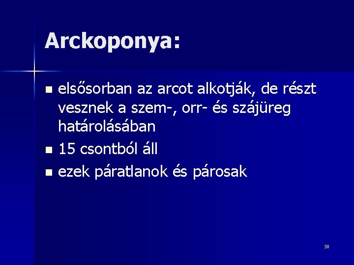 Arckoponya: elsősorban az arcot alkotják, de részt vesznek a szem-, orr- és szájüreg határolásában