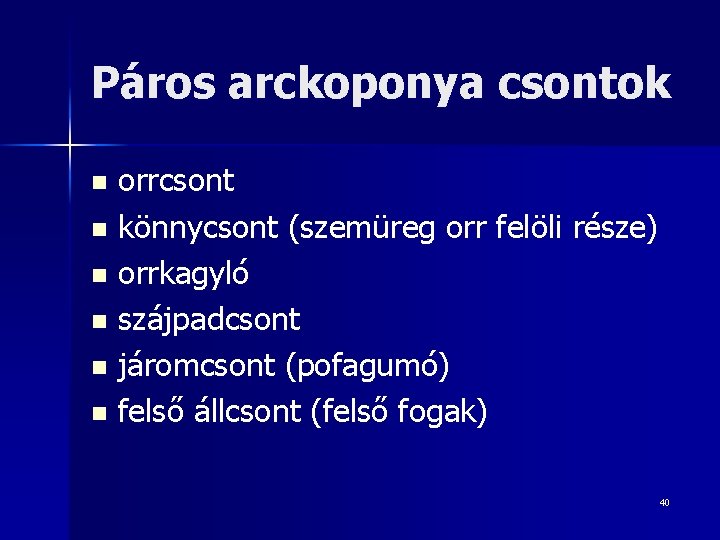 Páros arckoponya csontok orrcsont n könnycsont (szemüreg orr felöli része) n orrkagyló n szájpadcsont