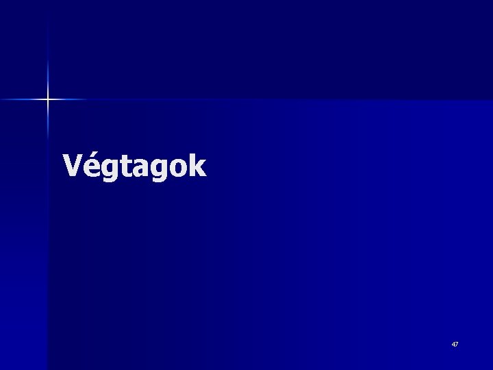 Végtagok 47 